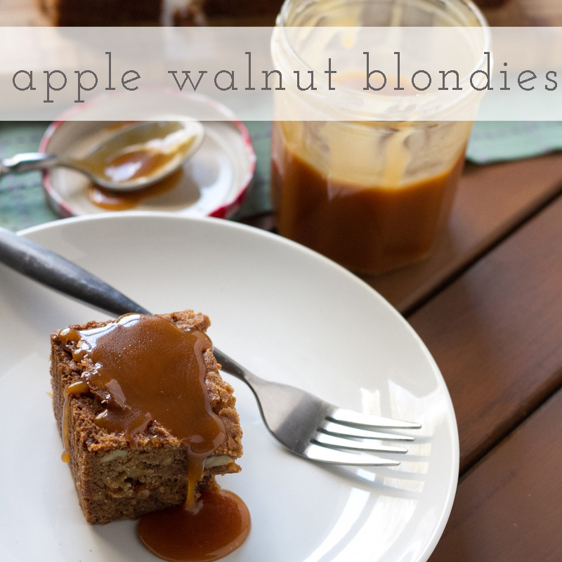 apple-walnut blondies | chattavore