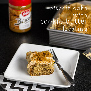 This Biscoff cake with cookie butter frosting is an easy, moist, and fabulously tasty dessert! | recipe from chattavore.com
